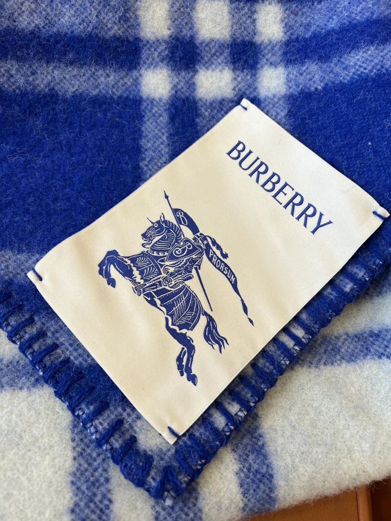 Burberry Caps Scarfs